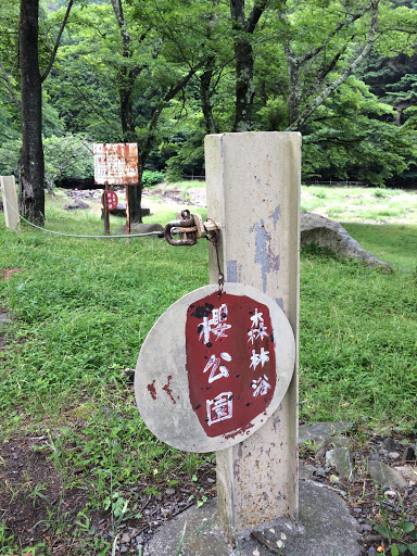 櫻公園-Sakura Park-