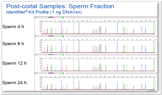 Quantifiler