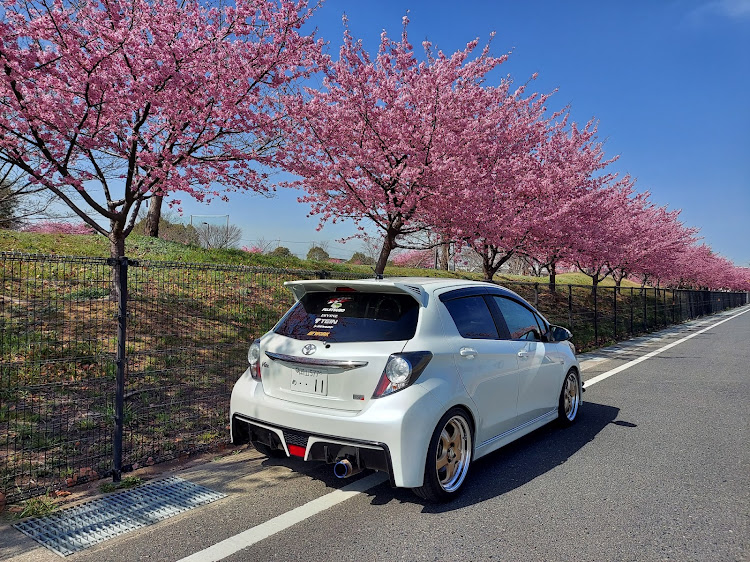 ヴィッツの岡山・河津桜とコラボ・workwheels・ゴールドホイール・ピックアップチャレンジに関するカスタム事例の投稿画像6枚目