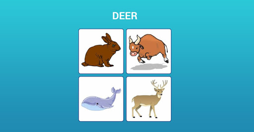 animal pic quiz