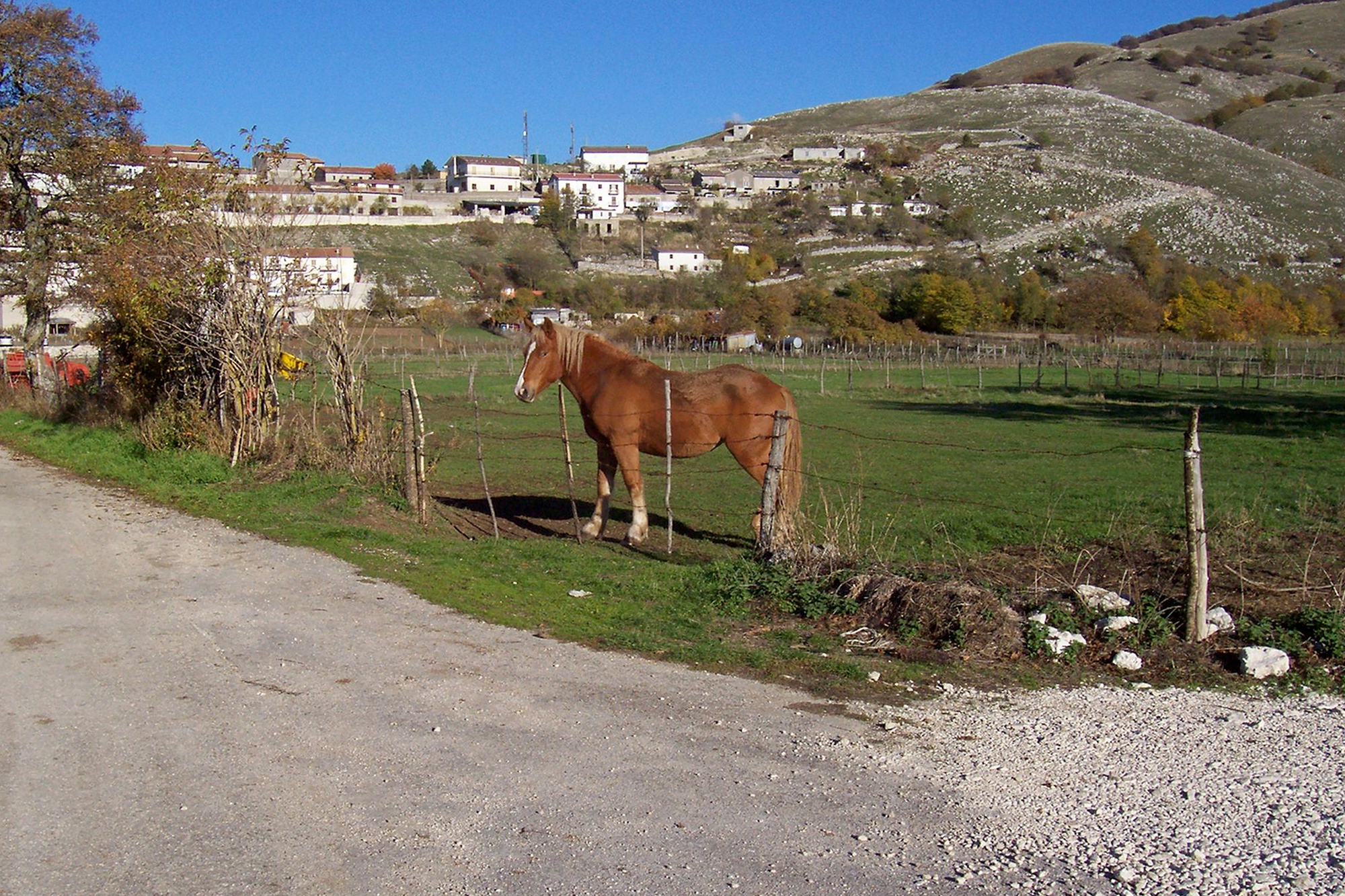 Abruzzo terra di pascolo e agricoltura  di GVatterioni