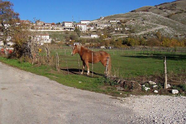 Abruzzo terra di pascolo e agricoltura  di GVatterioni