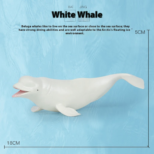 White Whale