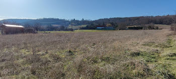 terrain à Brioude (43)