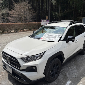 RAV4 MXAA54