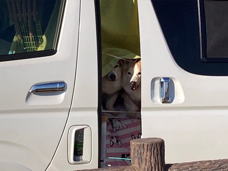 ハイエースバンの年末年始車中泊に関するカスタム事例の投稿画像3枚目