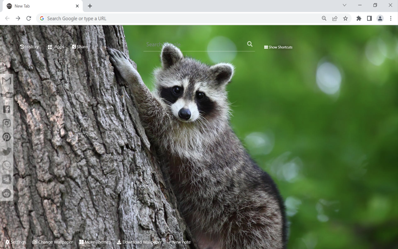 Raccoon Wallpaper New Tab Preview image 2