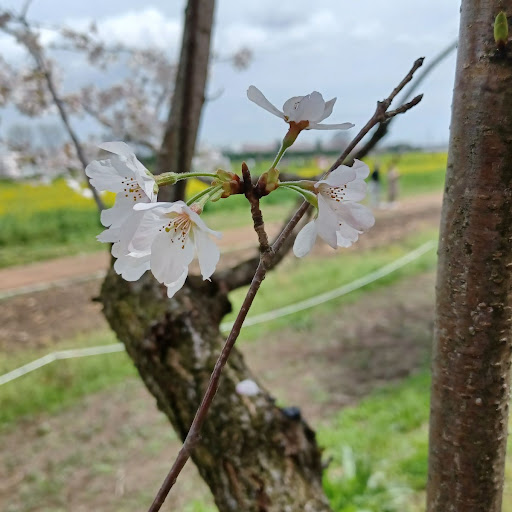 森と川