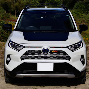 RAV4 AXAH54