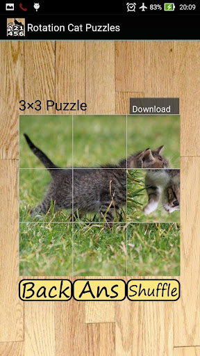 Rotation Cat Puzzles