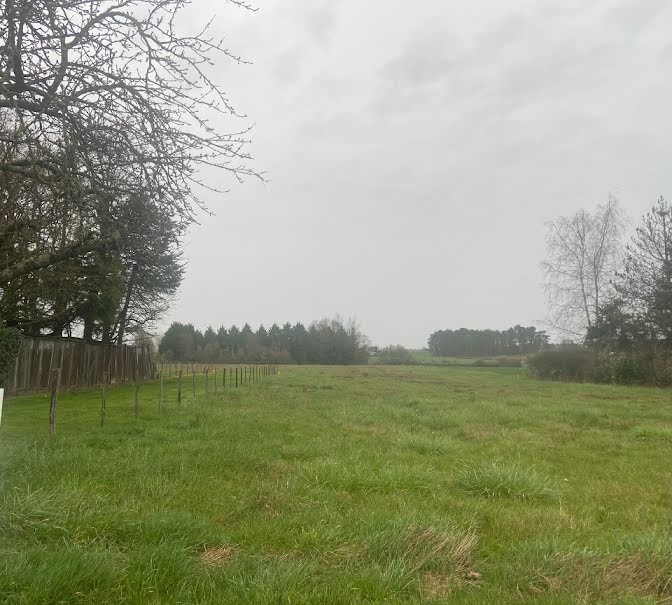 Vente terrain  1000 m² à Epeigné-les-Bois (37150), 27 000 €