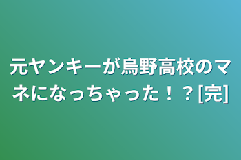 元ヤンキーが烏野高校のマネになっちゃった！？[完]