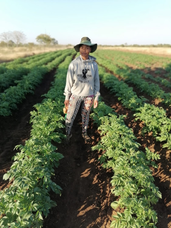 Rural Limpopo boasts an availability of land, which accounts for why many people can still build houses and produce fresh fruits and vegetables.