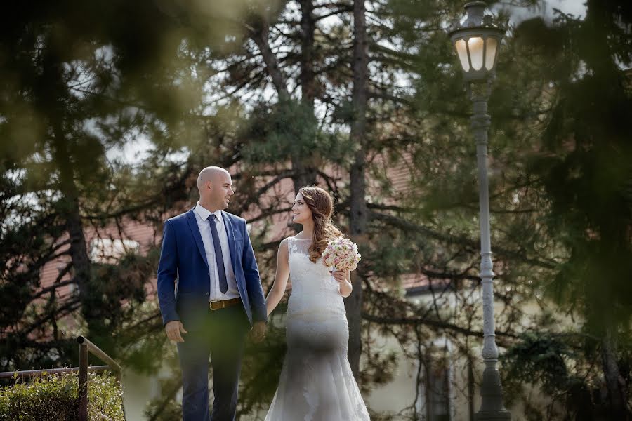 Wedding photographer Marko Milivojevic (milivojevic). Photo of 13 February 2017