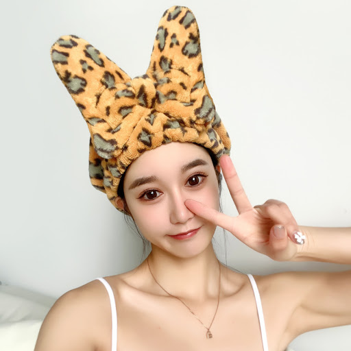 Title 1, Leopard Print Princess Hat for Household Dust R...