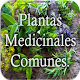 Download Plantas medicinales y sus usos For PC Windows and Mac