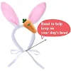 miniatures image - 1