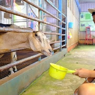 水鹿咖啡親子館