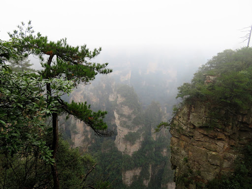 Avatar Park China 2016