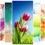 Cover Image of Download Wallpapers for S10 1.7 APK