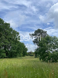 terrain à Labastide-Saint-Pierre (82)