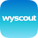 Wyscout icon