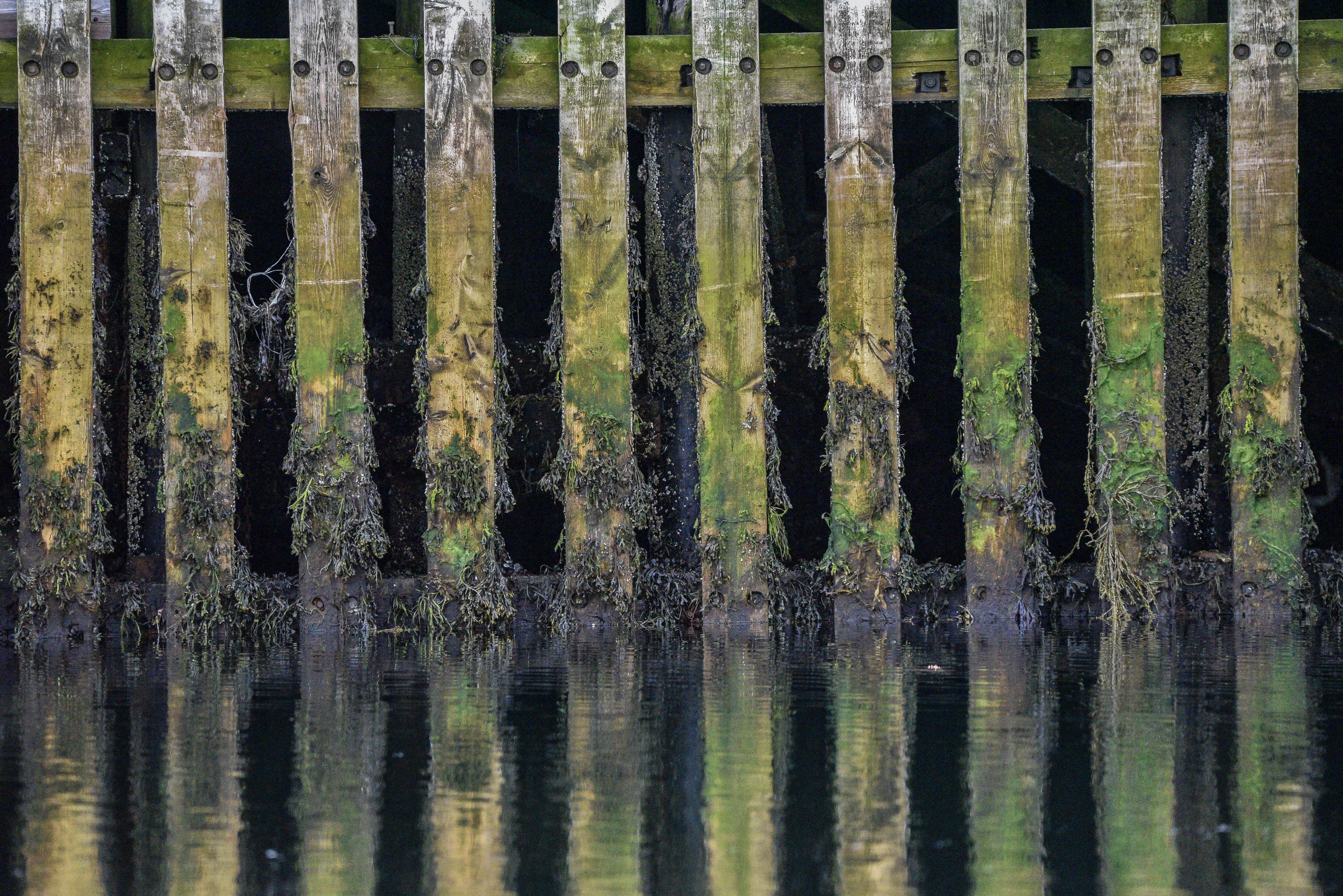 Pontile di Highlander