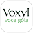 Voce Gola - Voxyl icon