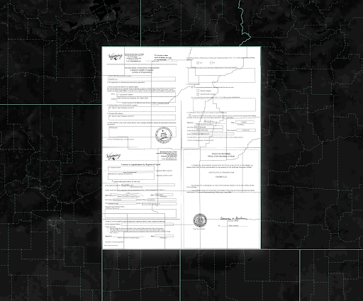 Crypto Cities, Co-operative LCAs, and DisCOs