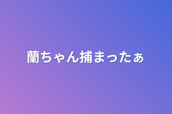 蘭ちゃん捕まったぁ