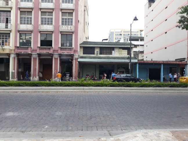 Escuela de kung fu "EL DRAGON ROJO" - Guayaquil