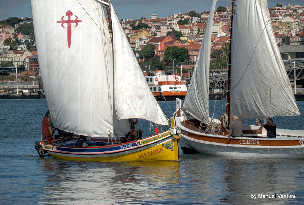 Regatta do Atlantico Azul, Montijo – Caes das Columnas (Manuel Ventura, 15/VIII/15)