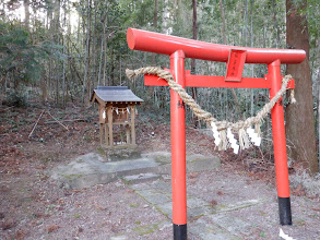 稲蒼魂神（うかのみたまのかみ）