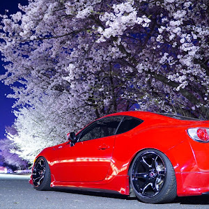 86 ZN6
