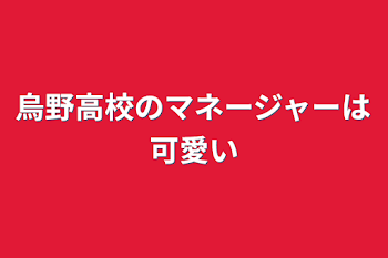 烏野高校のマネージャーは可愛い