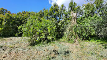 terrain à Saint-Quentin-la-Poterie (30)