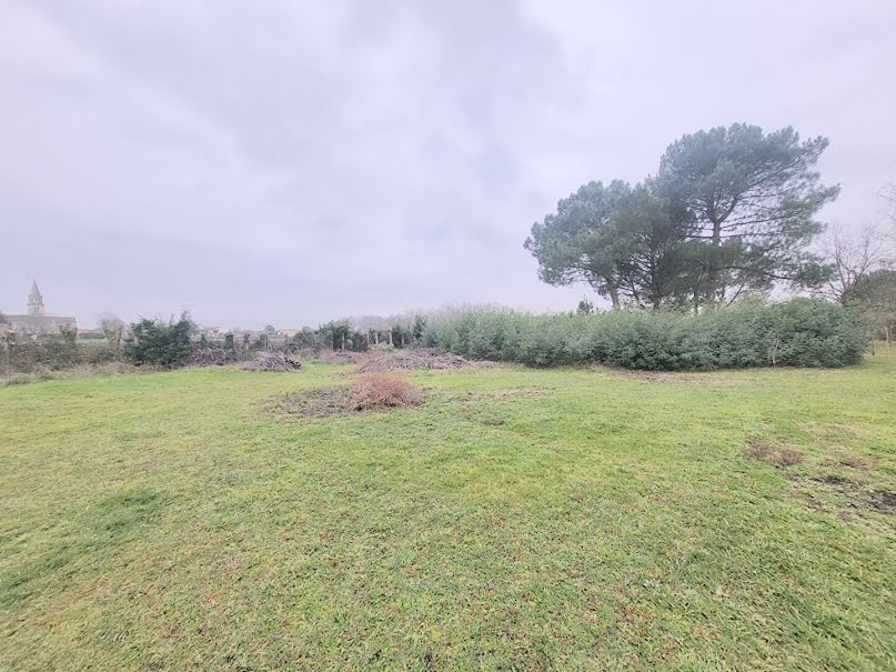 Vente terrain  3099 m² à Blaye (33390), 105 000 €