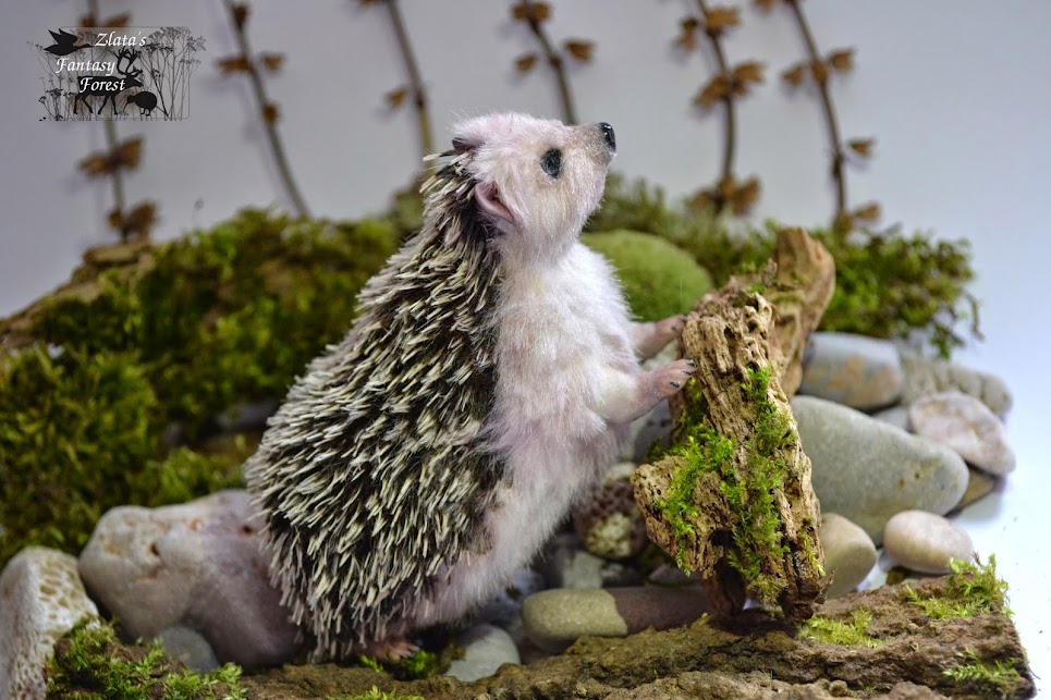 Baby hedgehog handmade soft sculpture