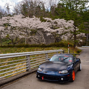ロードスター NB6C