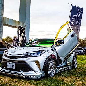 C-HR ZYX11