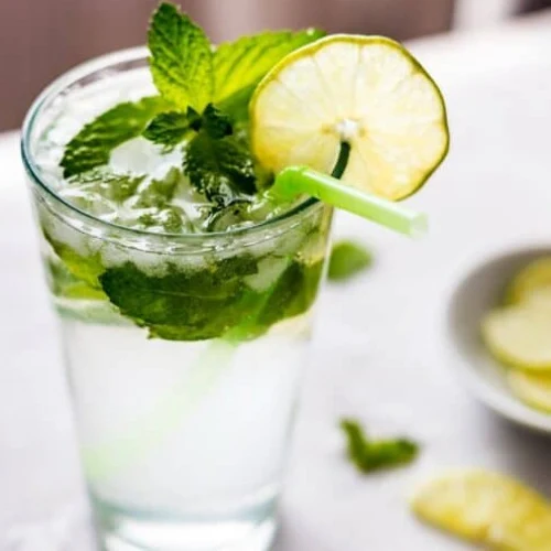 Virgin Mint Mojito