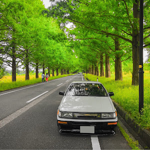 カローラレビン AE86