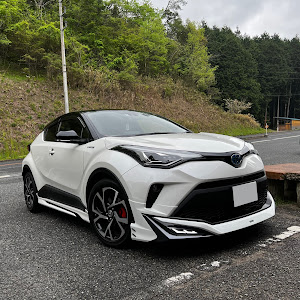 C-HR ZYX11