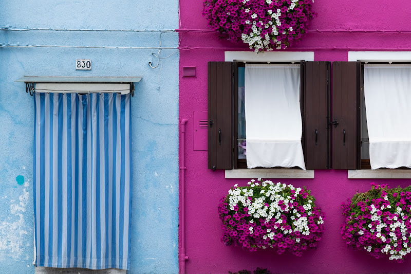 Life in color di alessio_terzo