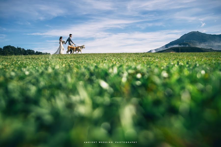 Wedding photographer Van Tran (ambient). Photo of 12 March 2018