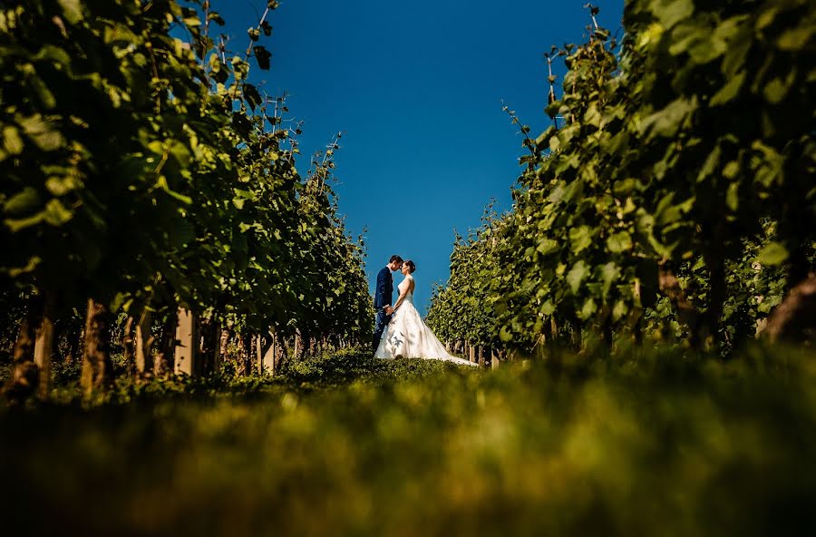 Fotografo di matrimoni Boštjan Jamšek (jamek). Foto del 29 giugno 2020