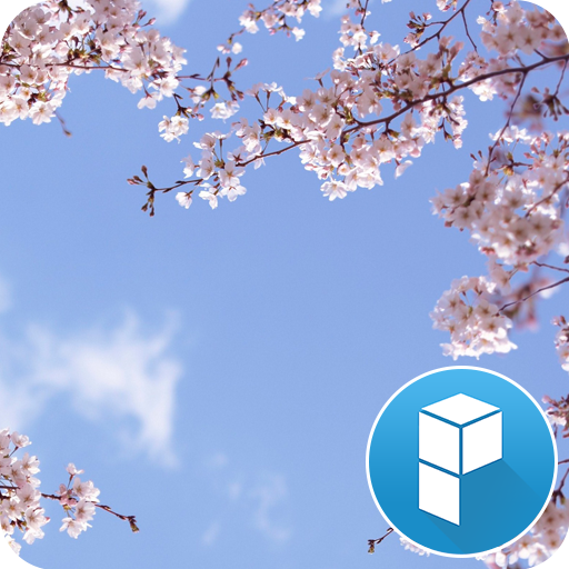 Cherry Blossom and You Theme icon