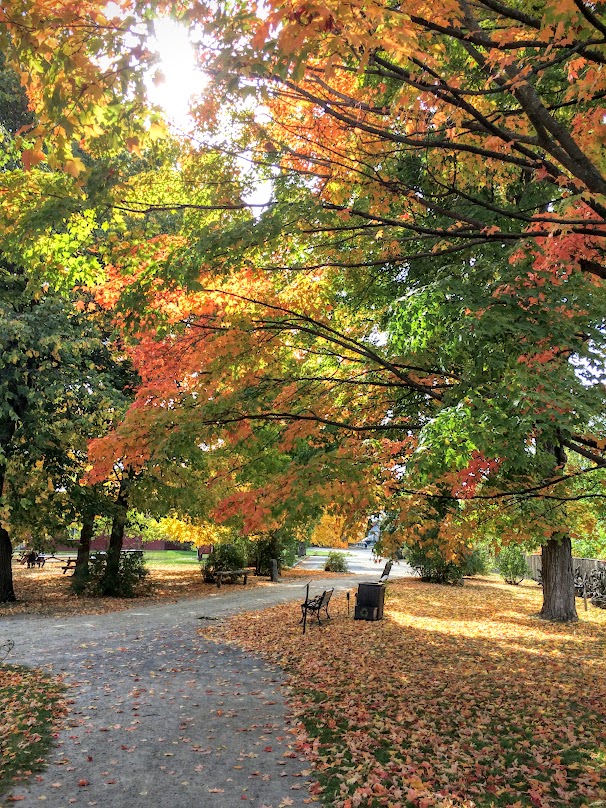 Color shot of the grounds.