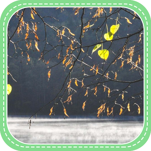 Some Withered Leaves in Winter 個人化 App LOGO-APP開箱王