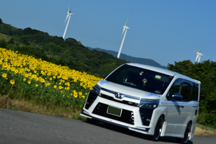ヴォクシーの布引高原風力発電所・暑いぞおおおおお・向日葵と愛車🌻・単焦点レンズ85mmf/1.8G 可変NDフィルターに関するカスタム事例の投稿画像3枚目